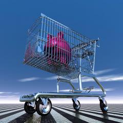 images/09_Concept/Basket_Piggy_bank.jpg